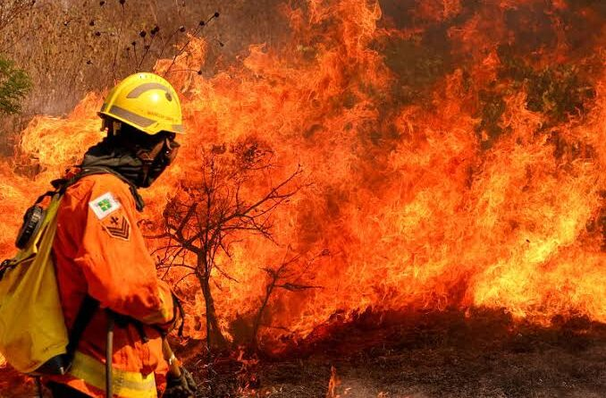 Senado vai debater incêndios e queimadas no país