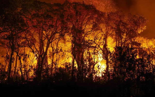 Senadores apresentam projetos para agravar penas em crimes de incêndio