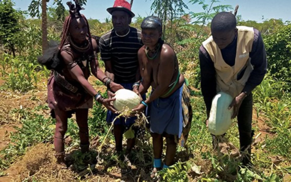 Cavalcante (GO): Experiência brasileira auxilia construção de política agrícola em Angola