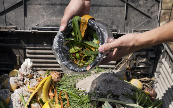 Embrapa vai sediar Workshop Internacional sobre Prevenção a Desperdício de Alimentos