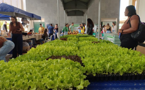 Feira do Produtor em Posse (GO) movimenta o IF Goiano e valoriza a agricultura familiar