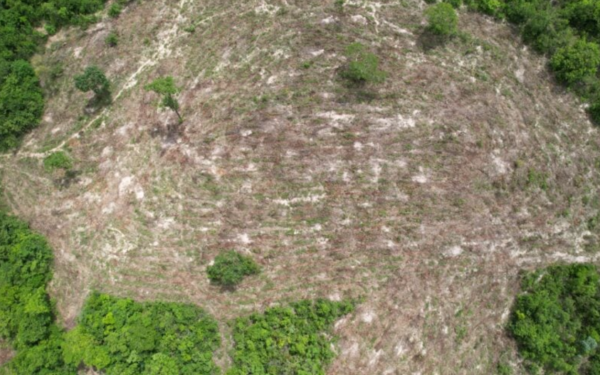 Desmatamento ilegal de 19,1 hectares é flagrado pela Semad em Monte Alegre (GO)