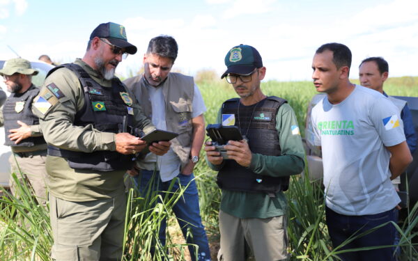 Governo do Tocantins registra queda de 43,4% no desmatamento em cinco meses; Dianópolis lidera crimes