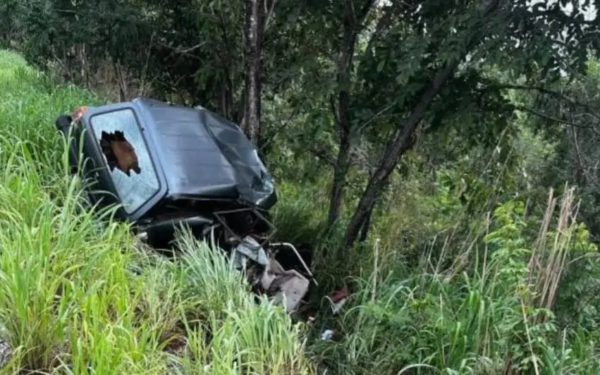 Criança morre e pai fica ferido após carro desviar de capivara na GO-118, em Monte Alegre (GO)