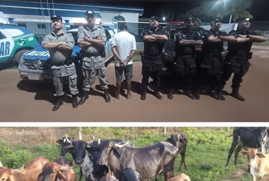 Homem tenta vender gado de propriedade rural e acaba preso em São João D’Aliança (GO)