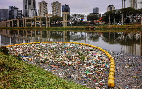 55% dos brasileiros querem reciclar mais em 2025