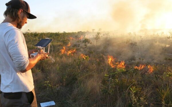 Projeto investiga impactos do manejo do fogo em Unidades de Conservação do Tocantins