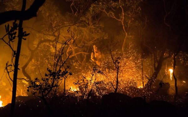 Governo de Goiás investe R$ 1 milhão na prevenção de incêndios no Cerrado