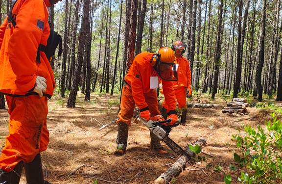 Brigadistas Kalungas treinam para uso de motosserras em incêndios