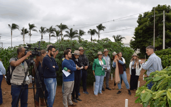 Embrapa divulga tecnologias em Dia de Campo para jornalistas na AgroBrasília 2025