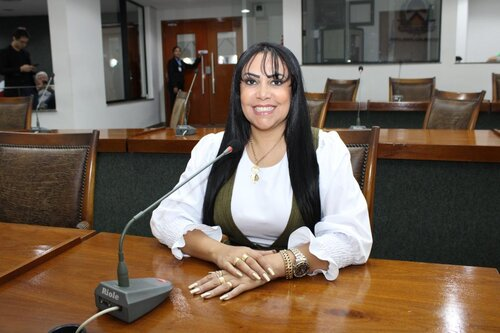 Deputada Janad solicita instalação de barreiras de contenção na TO-050, em Arraias