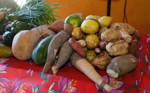 Governo de Goiás lança edital do Programa de Aquisição de Alimentos Quilombola