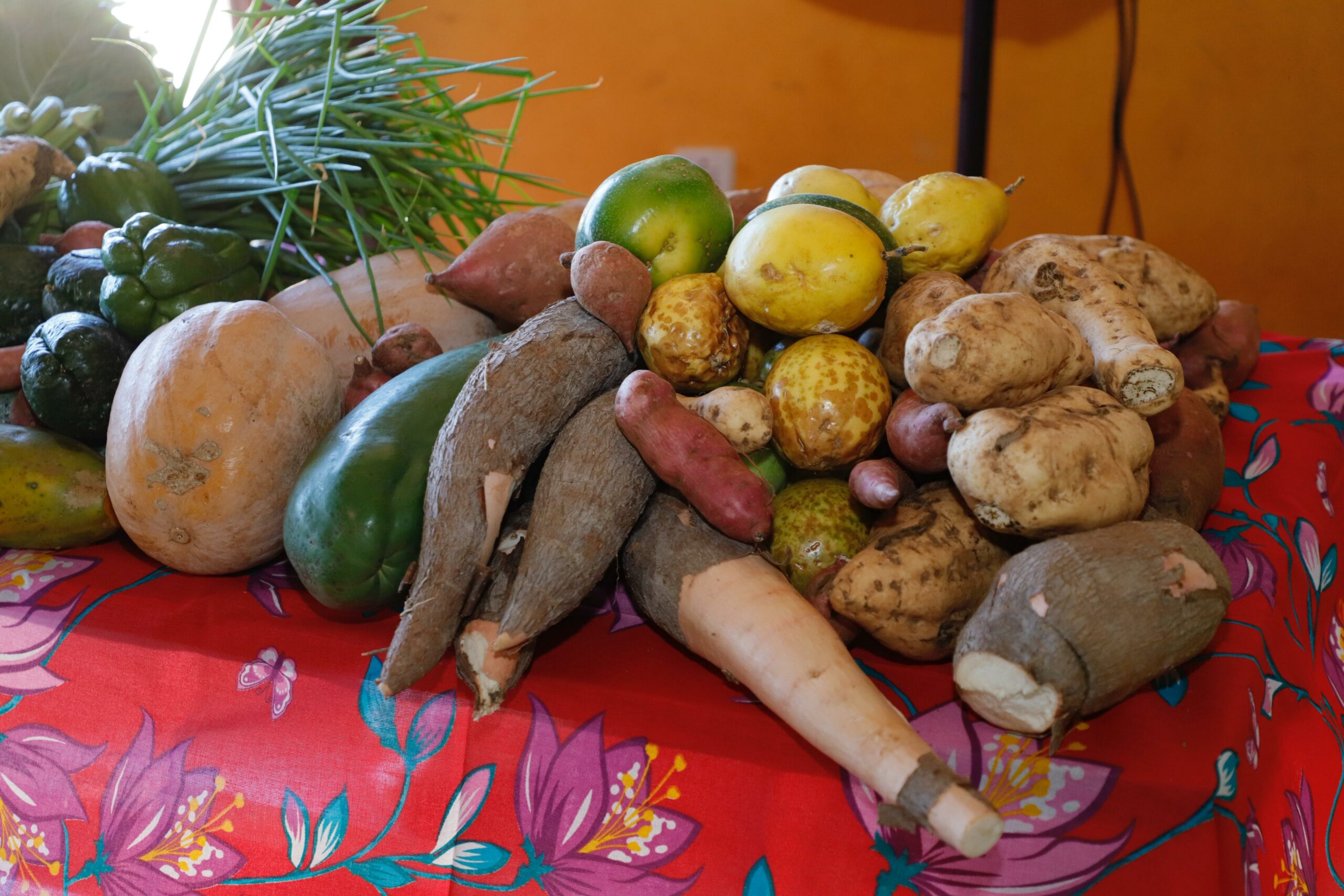 Governo de Goiás lança edital do Programa de Aquisição de Alimentos Quilombola