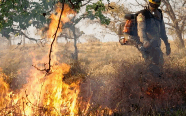 Queimadas aumentam em Goiás em julho e colocam regiões sob alerta; Campos Belos é o campeão de focos